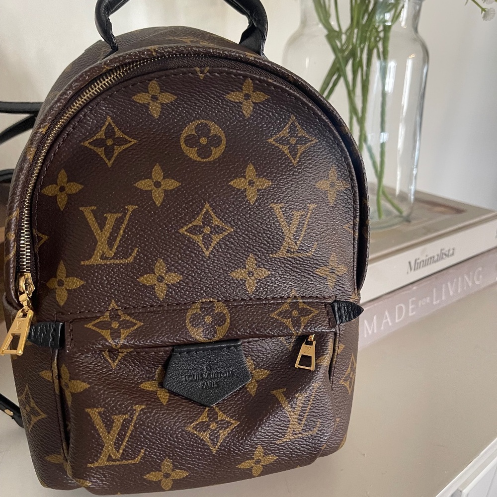 Louis Vuitton Palm Springs mini